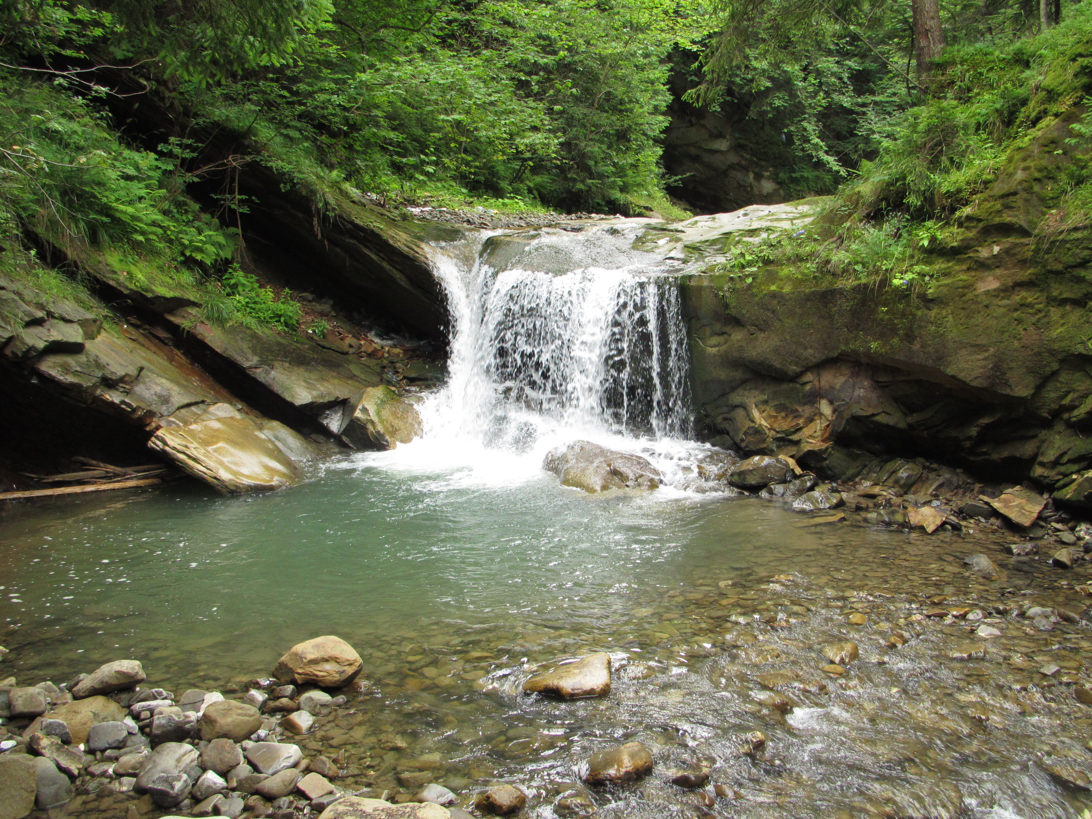 Шепітський Гук малий