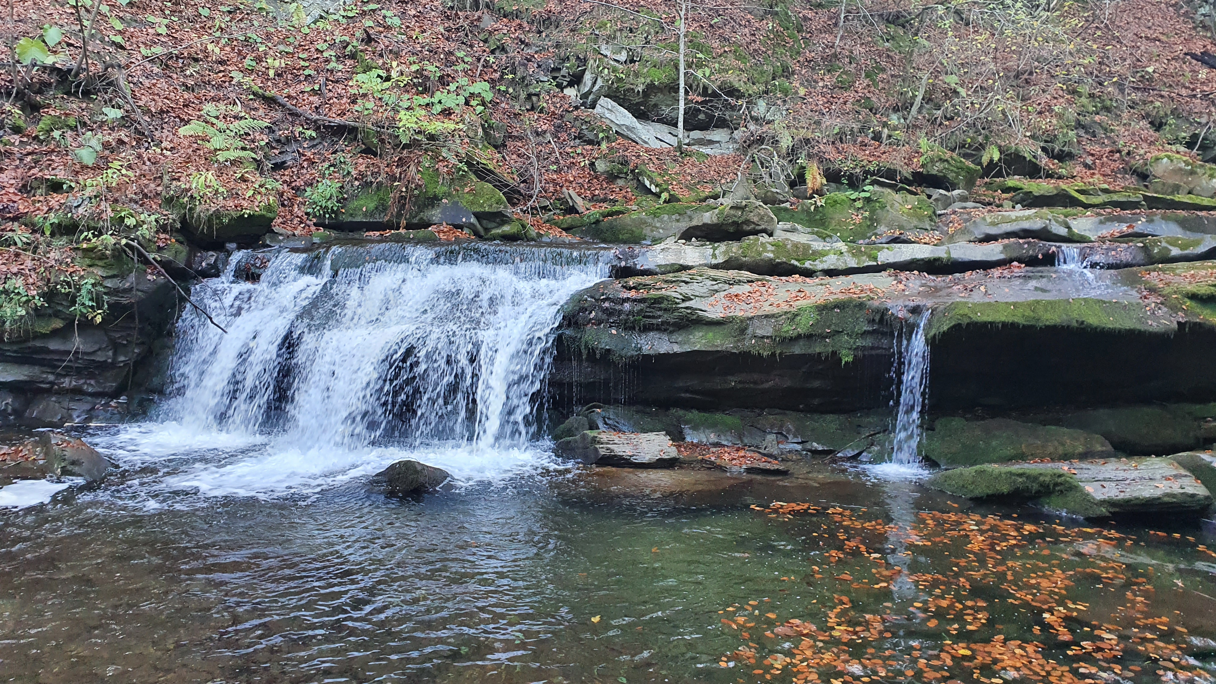 Крушельницький