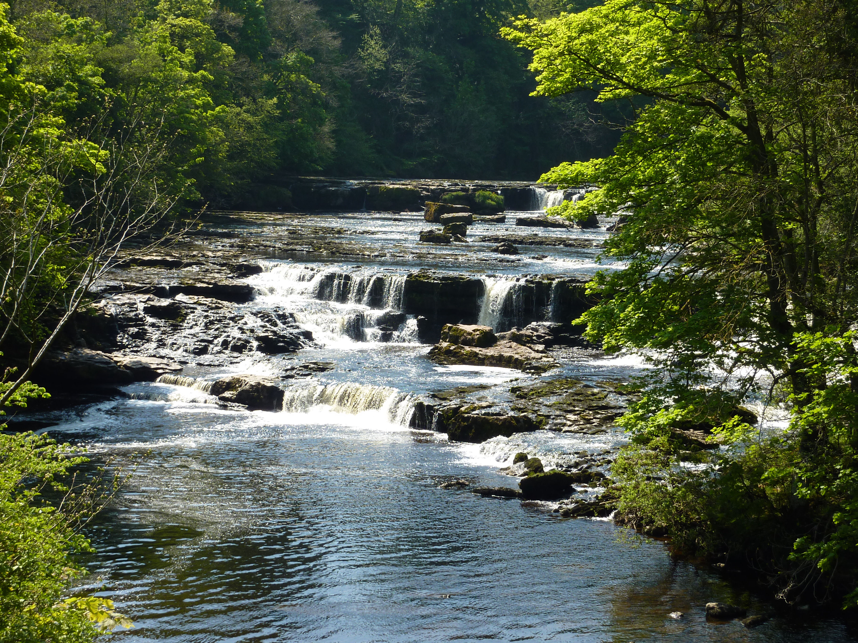 Aysgarth Middle Force