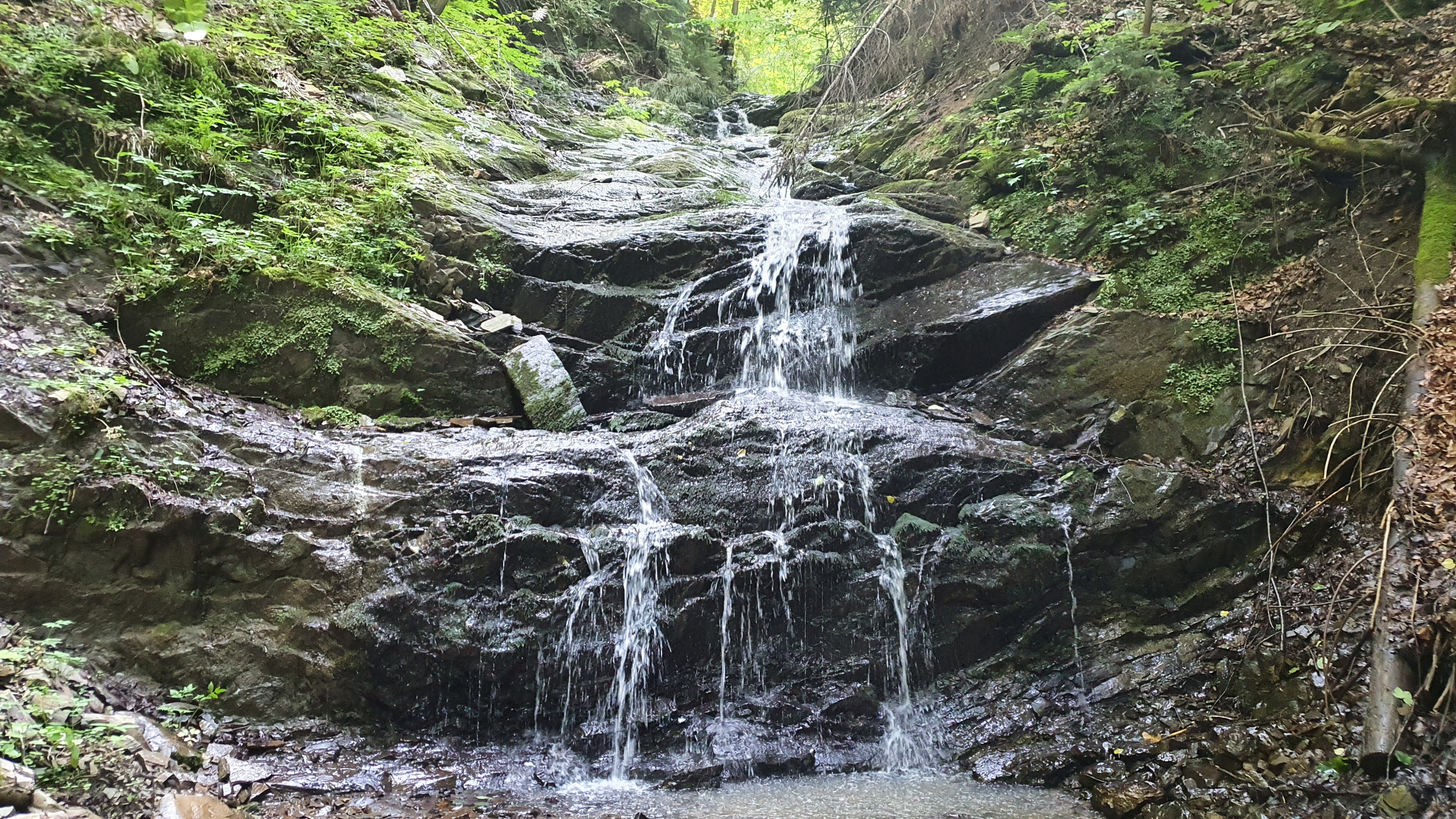 Великорожинський Гук