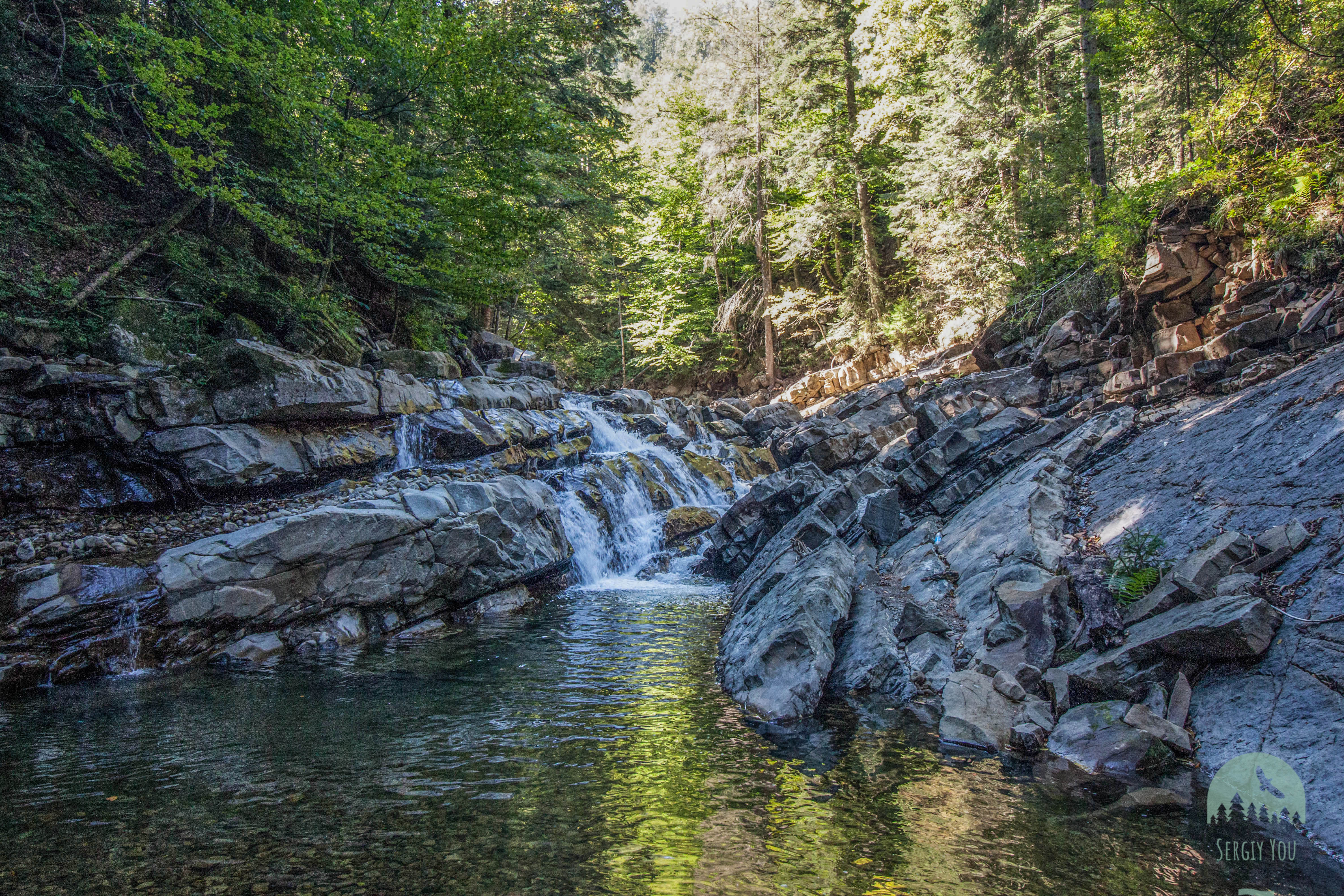Гуркало Ілемське