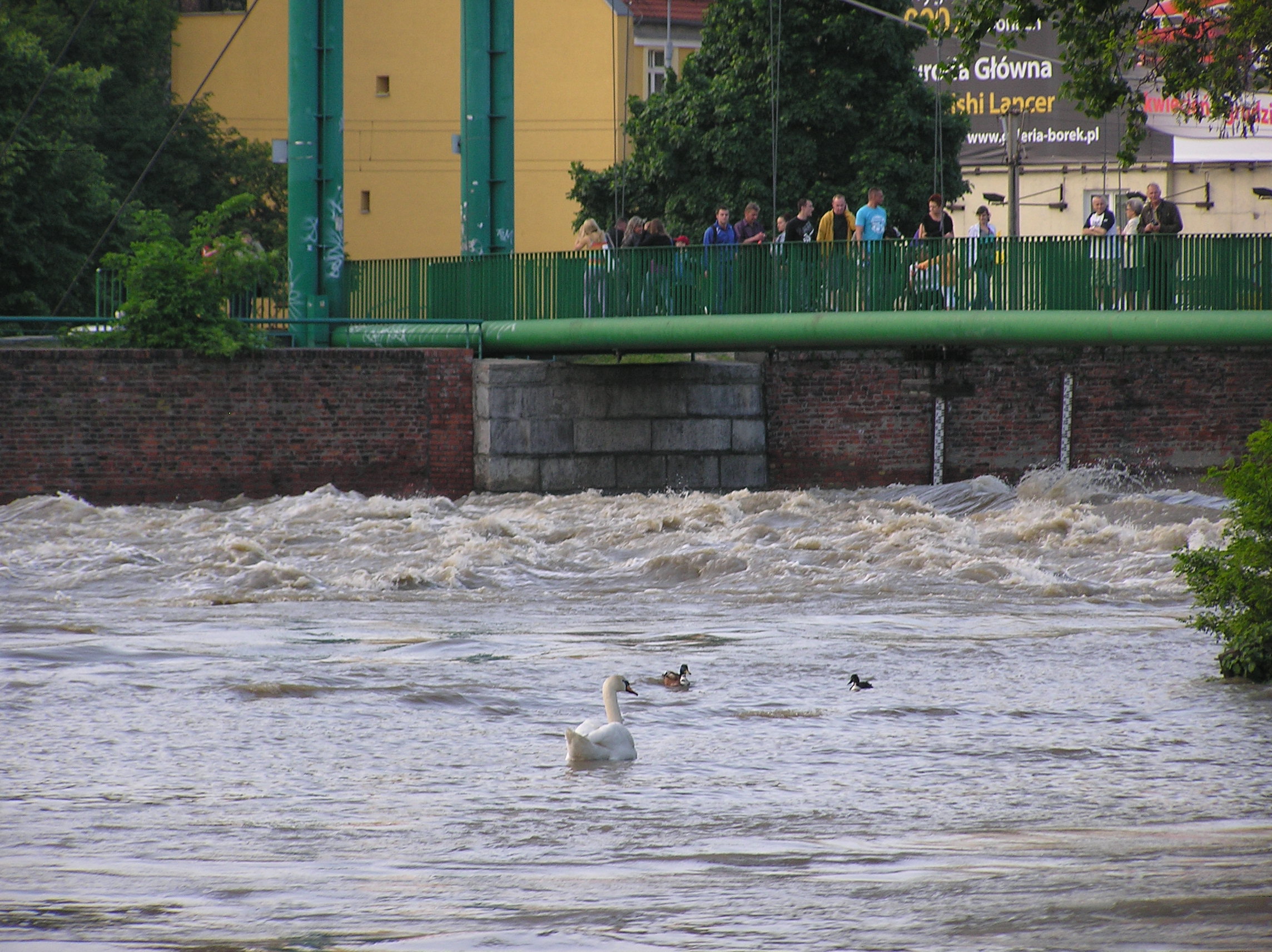 Jaz Świętej Klary z Asyżu